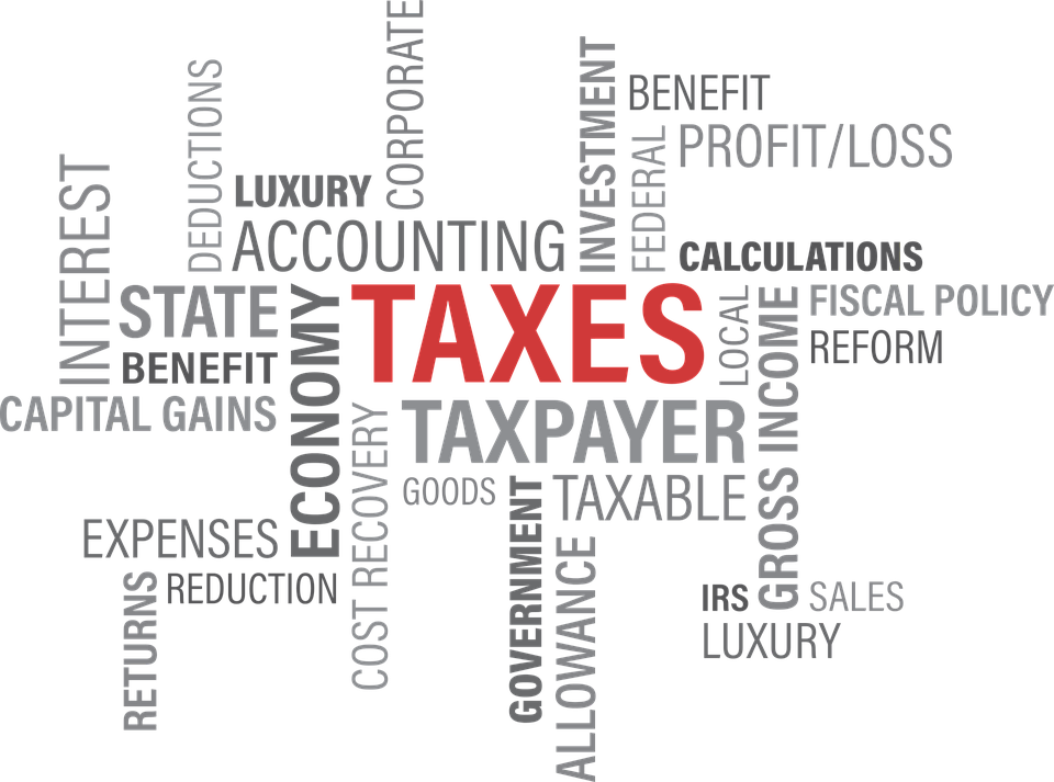 3 Kids Accounting & Tax Services